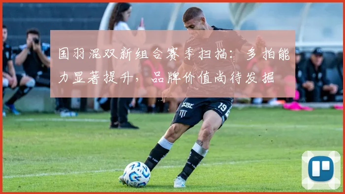 国羽混双新组合赛季扫描：多拍能力显著提升，品牌价值尚待发掘