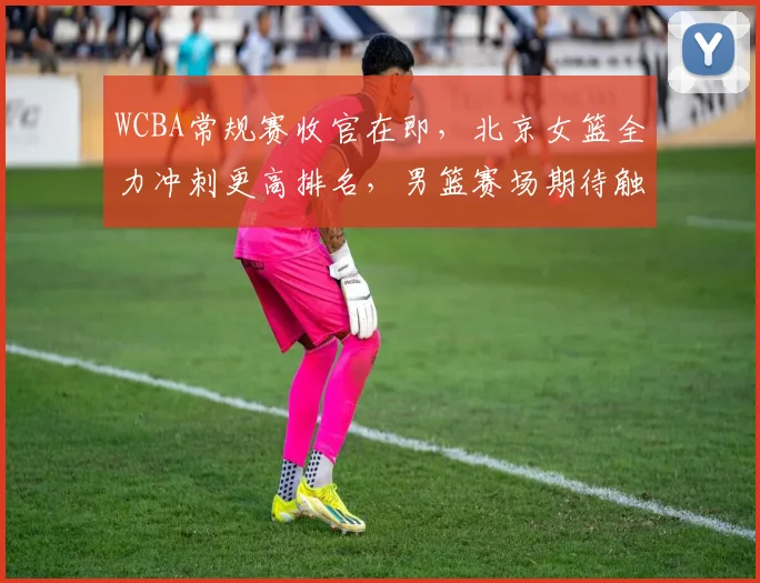 WCBA常规赛收官在即，北京女篮全力冲刺更高排名，男篮赛场期待触底反弹
