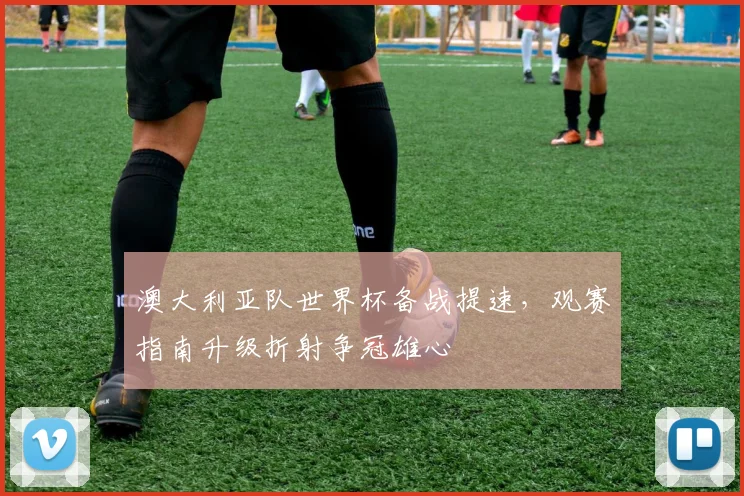 澳大利亚队世界杯备战提速，观赛指南升级折射争冠雄心